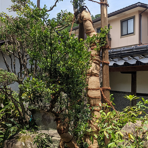 植栽・お庭のリフォーム